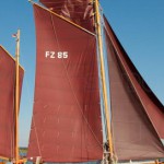 11. Zingster Zeesbootregatta
