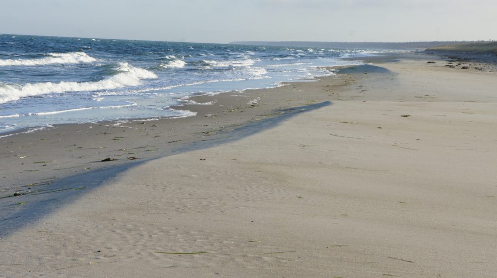 Strand in Zingst