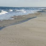 Deutschland´s schönster Strand liegt in Zingst