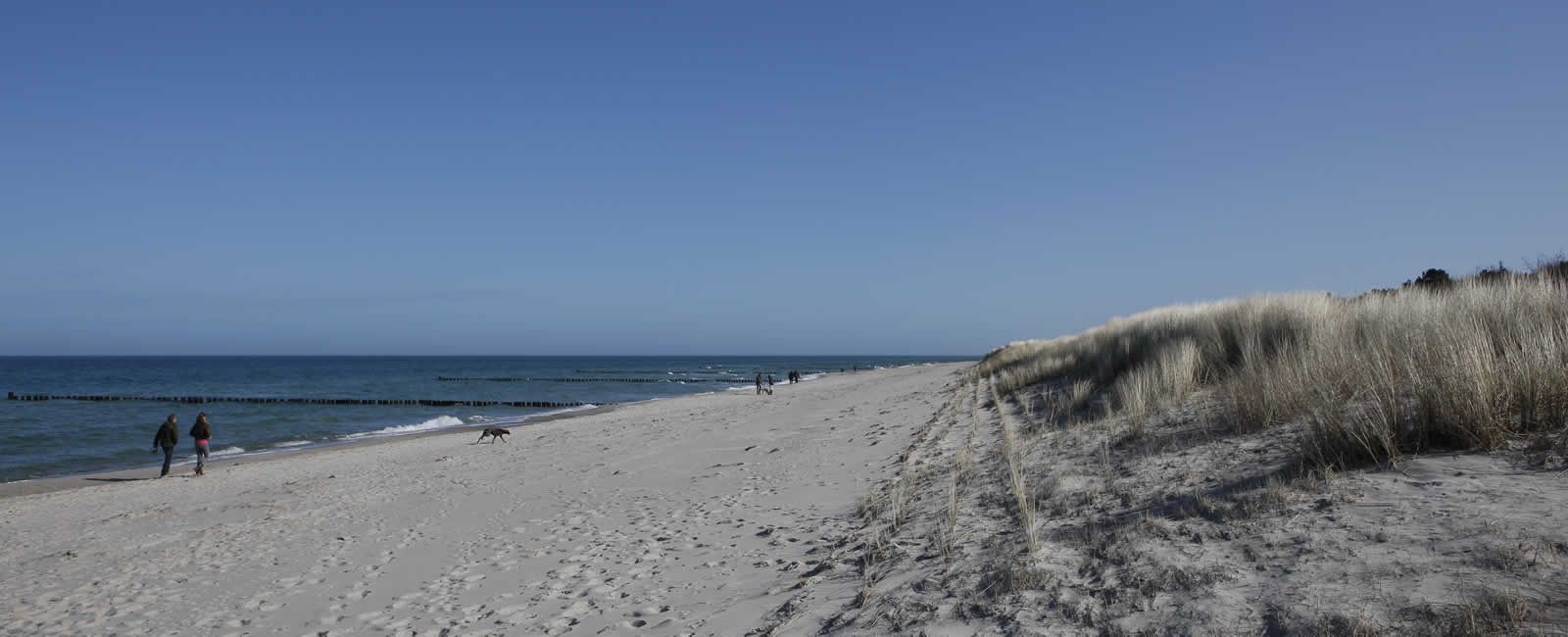 Fahrradtouren in und um Zingst