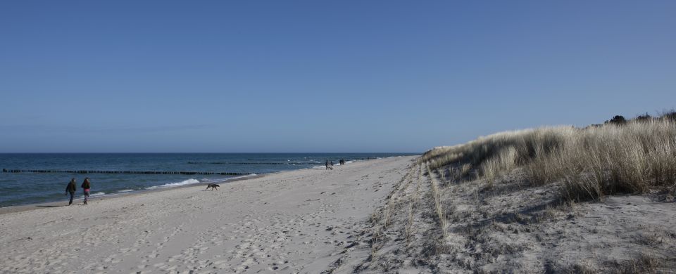 strand in zingst