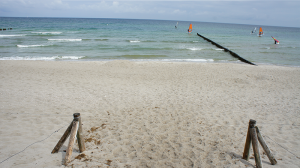 surfen-am-ostseestrand-zingst